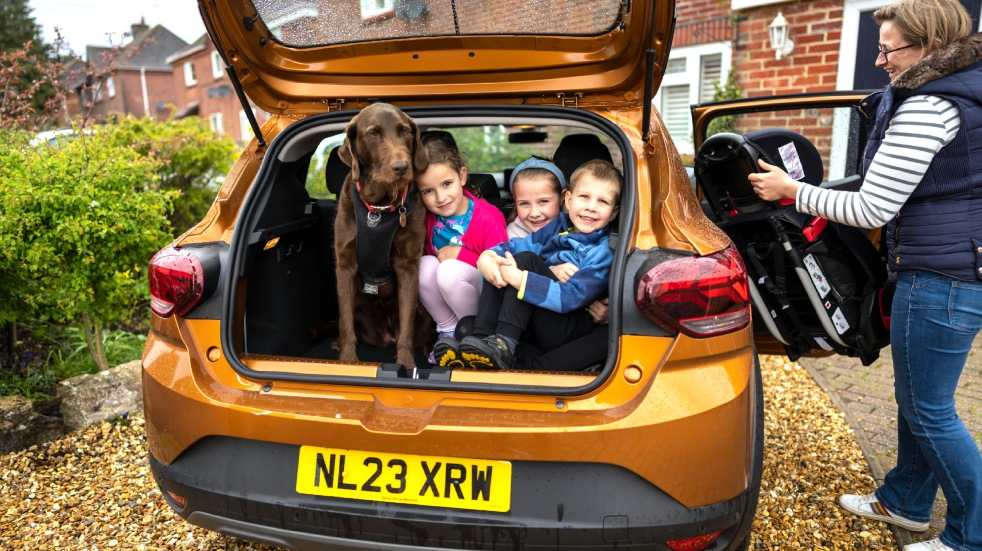 Kids and dog in boot of car